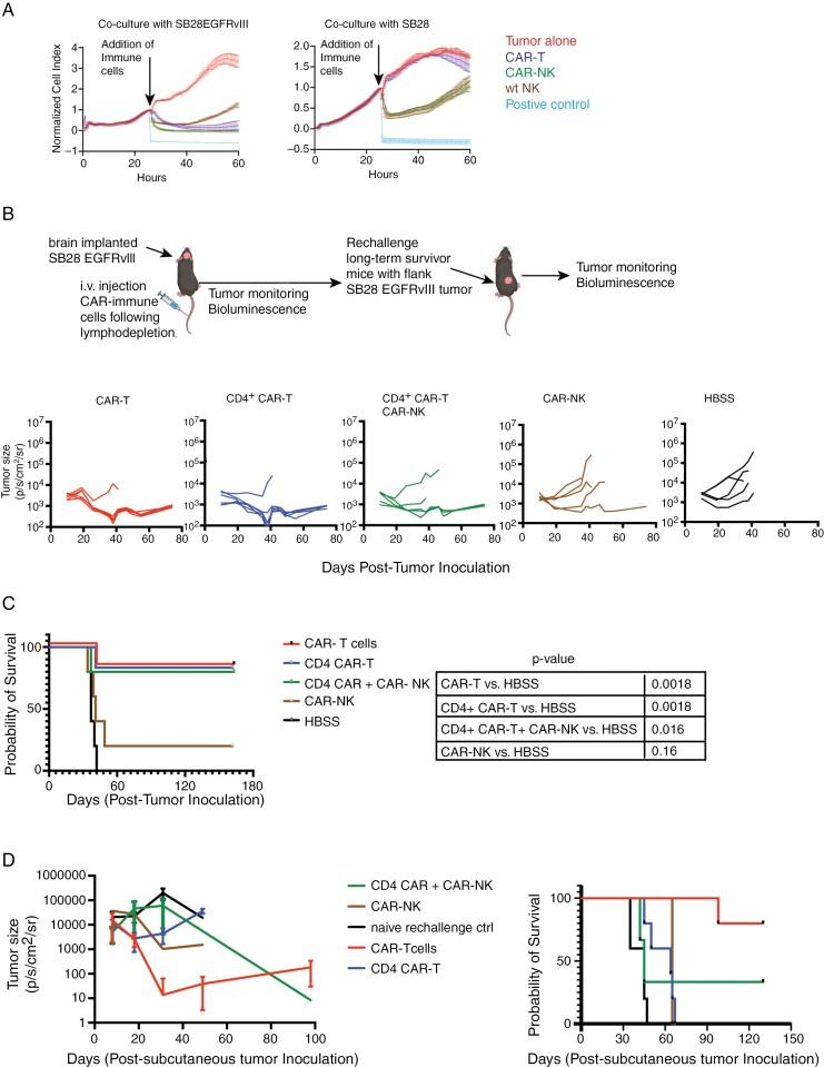 https://cdn.ncbi.nlm.nih.gov/pmc/blobs/8613/12080550/d24839b8320b/vdaf074_fig2.jpg