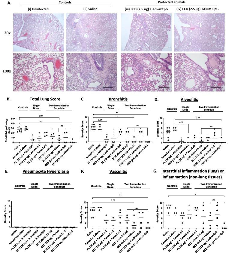 https://cdn.ncbi.nlm.nih.gov/pmc/blobs/8613/9013662/7d837c36eda1/gr4_lrg.jpg