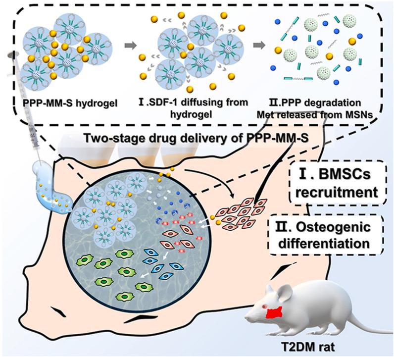 https://cdn.ncbi.nlm.nih.gov/pmc/blobs/8614/9483739/dd1aaed5344d/ga1.jpg