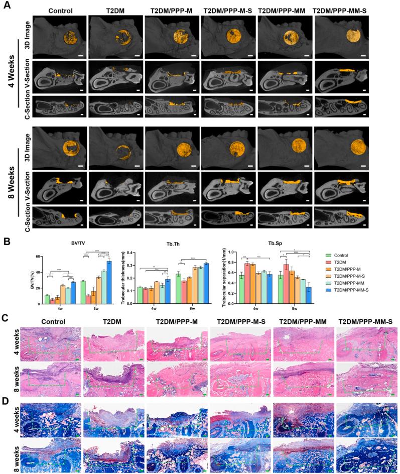 https://cdn.ncbi.nlm.nih.gov/pmc/blobs/8614/9483739/df6ac788a2ad/gr7.jpg