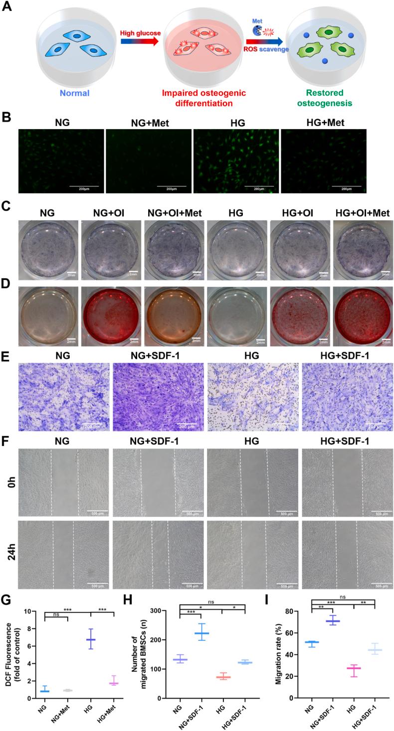 https://cdn.ncbi.nlm.nih.gov/pmc/blobs/8614/9483739/ee114d8bce00/gr3.jpg