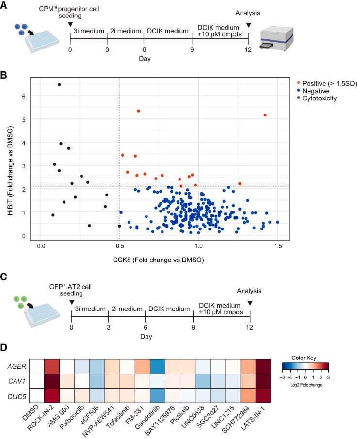 https://cdn.ncbi.nlm.nih.gov/pmc/blobs/8617/11096435/390c107f02eb/gr3.jpg