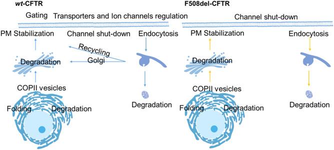 https://cdn.ncbi.nlm.nih.gov/pmc/blobs/8618/8592983/591ab903bfa0/41598_2021_1618_Fig1_HTML.jpg