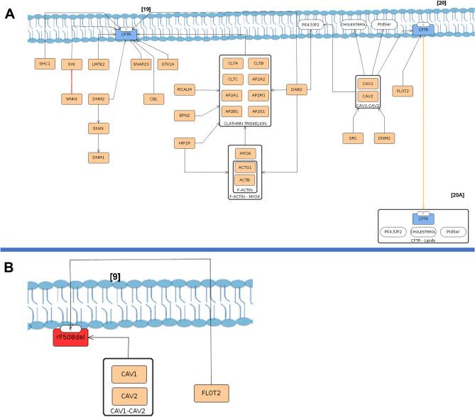 https://cdn.ncbi.nlm.nih.gov/pmc/blobs/8618/8592983/66755dcb9616/41598_2021_1618_Fig6_HTML.jpg