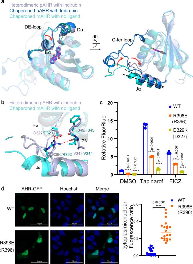 https://cdn.ncbi.nlm.nih.gov/pmc/blobs/8619/11791172/f1b4ebad6a77/41467_2025_56574_Fig5_HTML.jpg