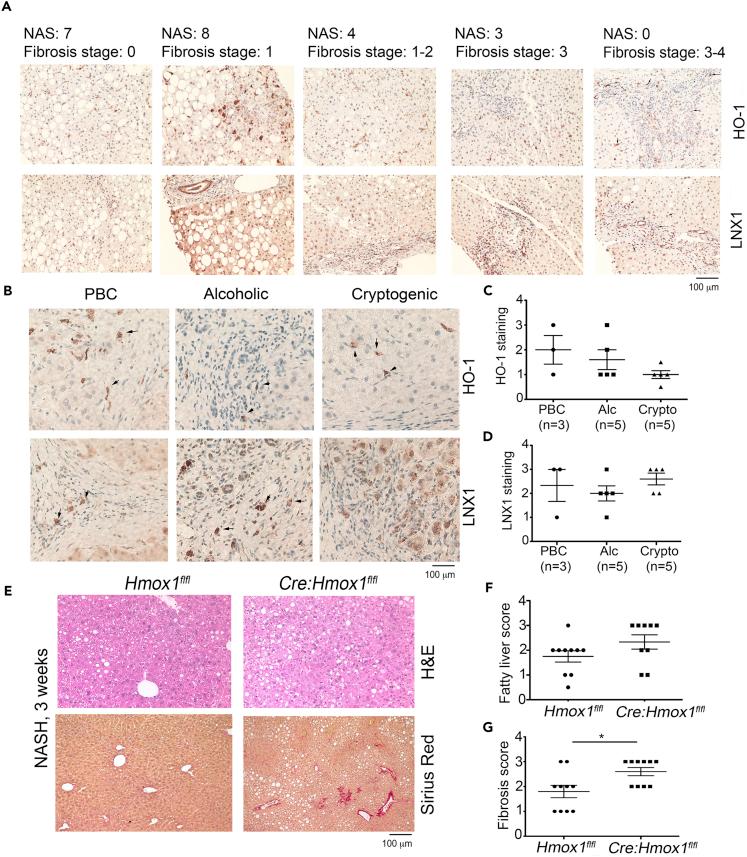 https://cdn.ncbi.nlm.nih.gov/pmc/blobs/861a/9450142/3dc974bc17cb/gr5.jpg