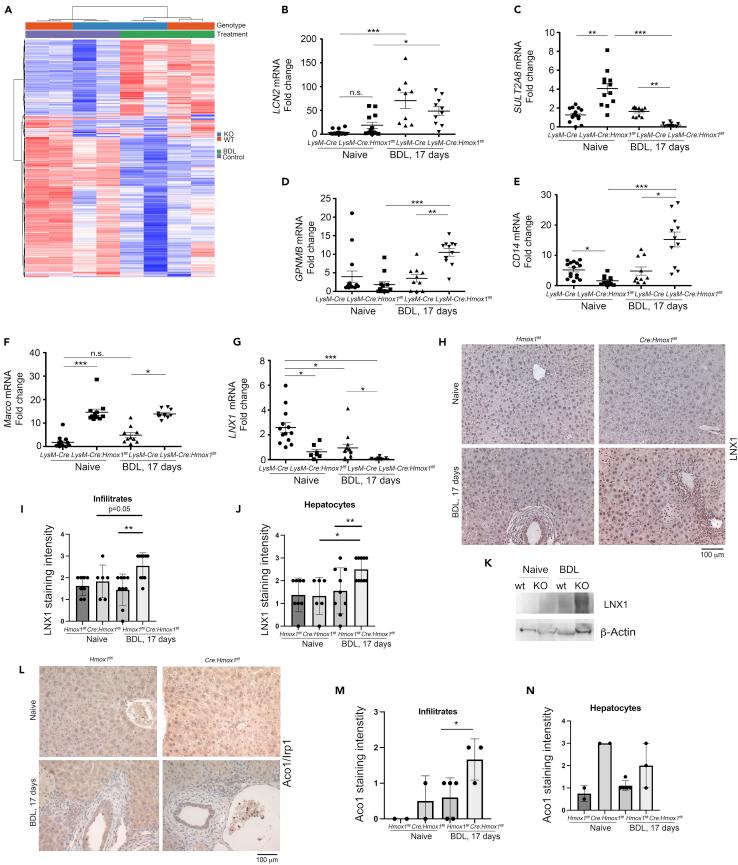 https://cdn.ncbi.nlm.nih.gov/pmc/blobs/861a/9450142/d7a9b76e623b/gr4.jpg