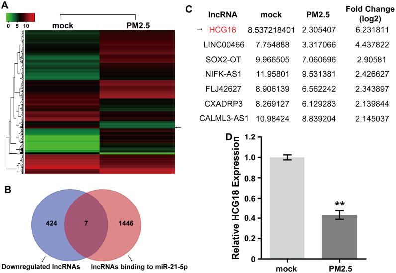 https://cdn.ncbi.nlm.nih.gov/pmc/blobs/861c/7762519/87f064d10afb/aging-12-104073-g001.jpg