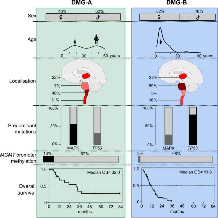 https://cdn.ncbi.nlm.nih.gov/pmc/blobs/861e/11387453/65f96269edac/401_2024_2800_Fig3_HTML.jpg