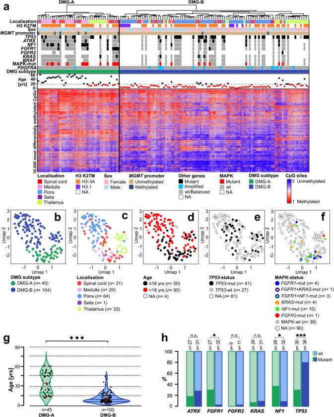 https://cdn.ncbi.nlm.nih.gov/pmc/blobs/861e/11387453/dd28c14ca397/401_2024_2800_Fig1_HTML.jpg