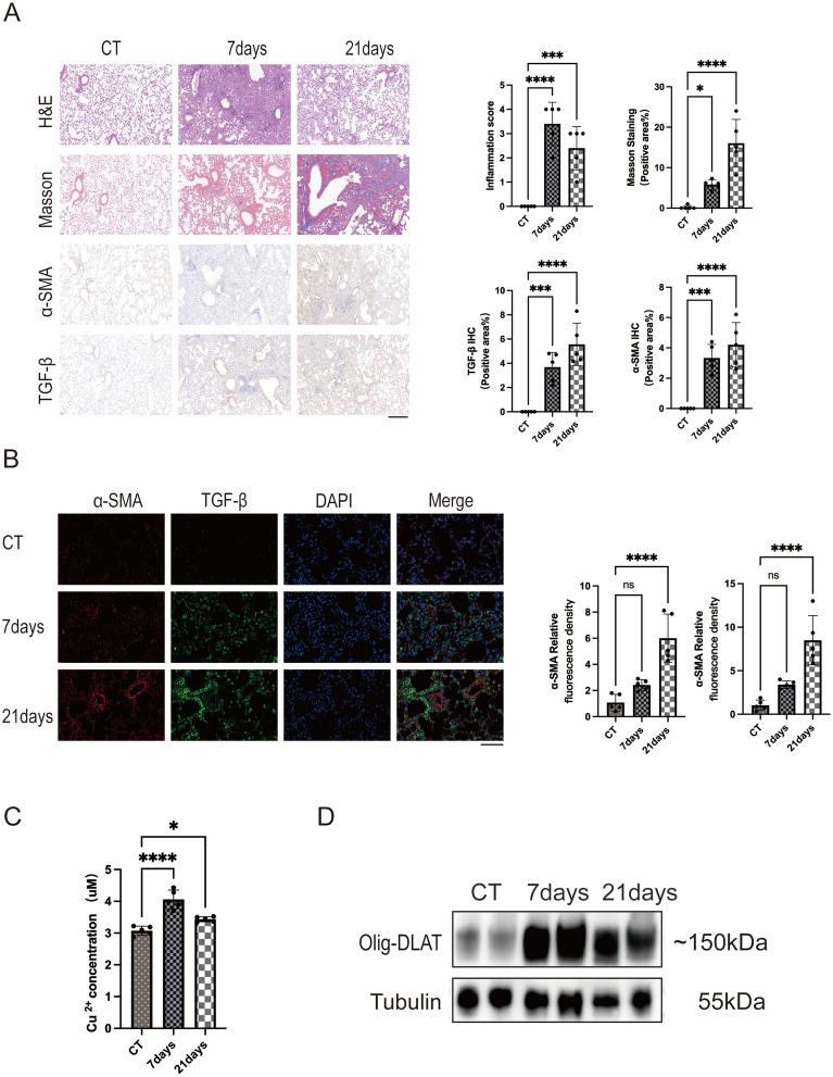 https://cdn.ncbi.nlm.nih.gov/pmc/blobs/861e/12087083/24917237a0da/40001_2025_2640_Fig1_HTML.jpg