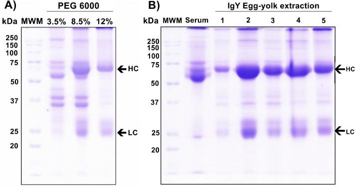 https://cdn.ncbi.nlm.nih.gov/pmc/blobs/861f/9563561/ffd49c06c8f8/gr2.jpg