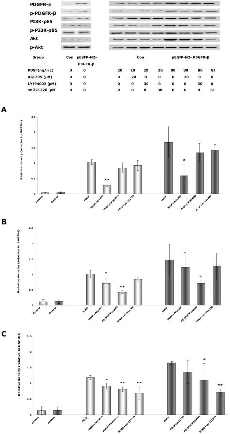 https://cdn.ncbi.nlm.nih.gov/pmc/blobs/8621/3280261/e1926d8dcd4d/pone.0030503.g011.jpg