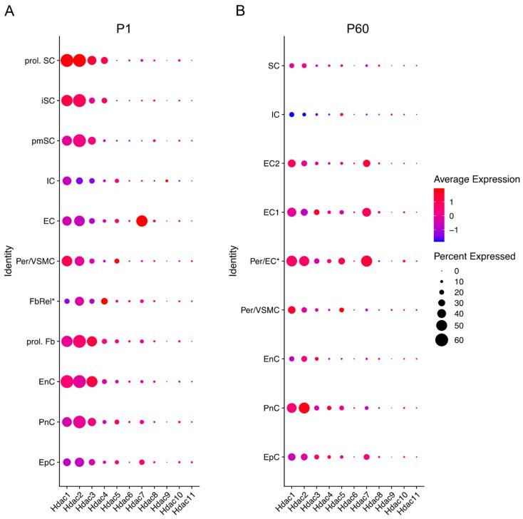 https://cdn.ncbi.nlm.nih.gov/pmc/blobs/8621/8951080/04ddb663f7f8/ijms-23-02996-g003.jpg