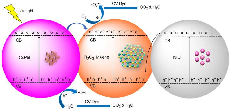 https://cdn.ncbi.nlm.nih.gov/pmc/blobs/8622/10707859/5086bca82a34/nanomaterials-13-03026-g012.jpg
