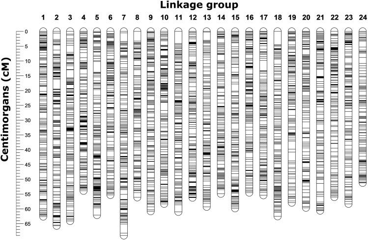 https://cdn.ncbi.nlm.nih.gov/pmc/blobs/8623/6469409/2c25234d9951/1027f2.jpg