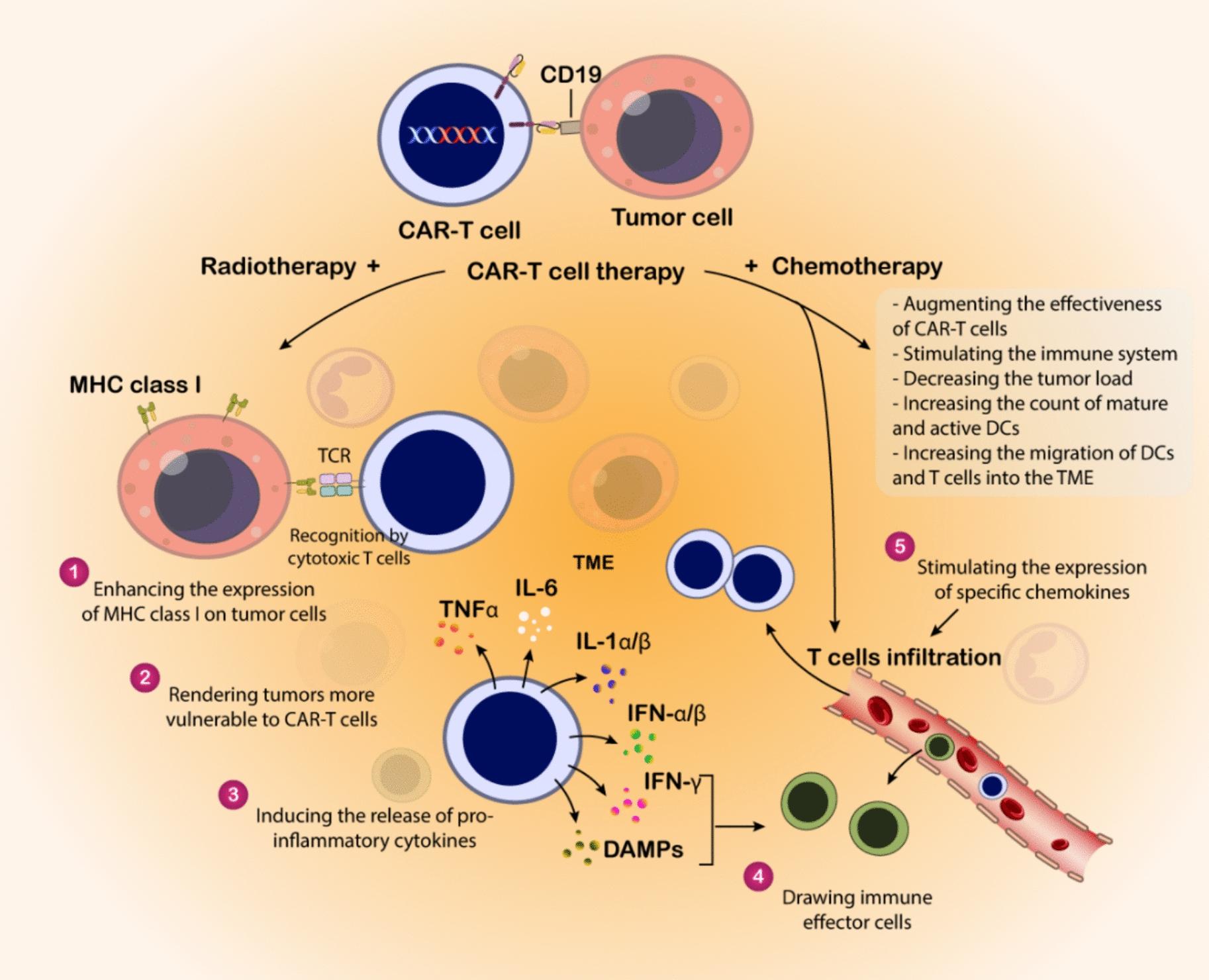 https://cdn.ncbi.nlm.nih.gov/pmc/blobs/8624/12084993/52c430ef7c04/40164_2025_662_Fig6_HTML.jpg