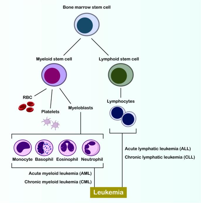 https://cdn.ncbi.nlm.nih.gov/pmc/blobs/8624/12084993/5fb6fd1f176c/40164_2025_662_Fig1_HTML.jpg