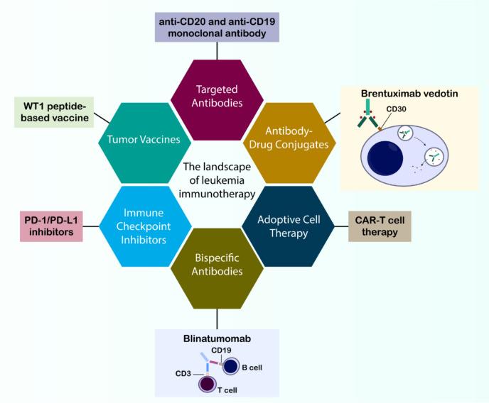 https://cdn.ncbi.nlm.nih.gov/pmc/blobs/8624/12084993/69bafc40f246/40164_2025_662_Fig2_HTML.jpg