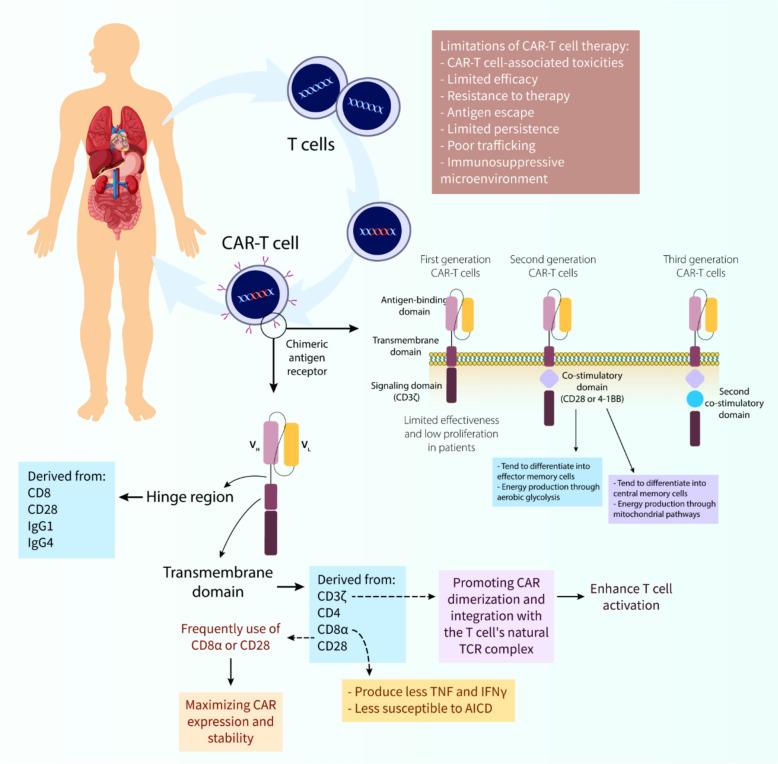 https://cdn.ncbi.nlm.nih.gov/pmc/blobs/8624/12084993/ac812a559eeb/40164_2025_662_Fig4_HTML.jpg