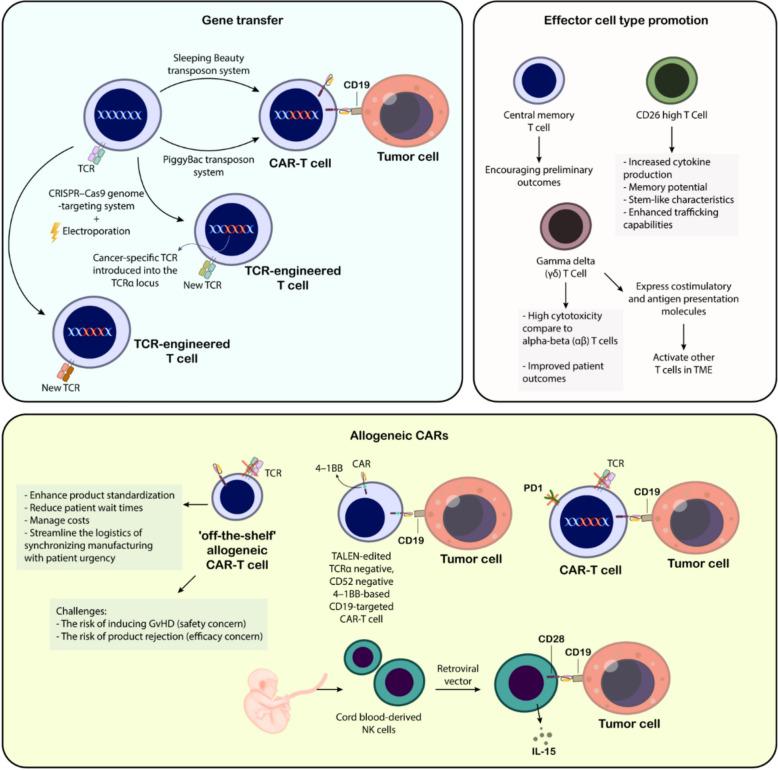 https://cdn.ncbi.nlm.nih.gov/pmc/blobs/8624/12084993/ade31f9acd8d/40164_2025_662_Fig5_HTML.jpg