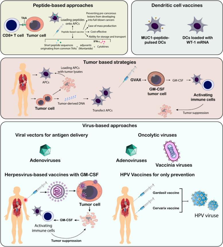 https://cdn.ncbi.nlm.nih.gov/pmc/blobs/8624/12084993/e0b22d502577/40164_2025_662_Fig3_HTML.jpg