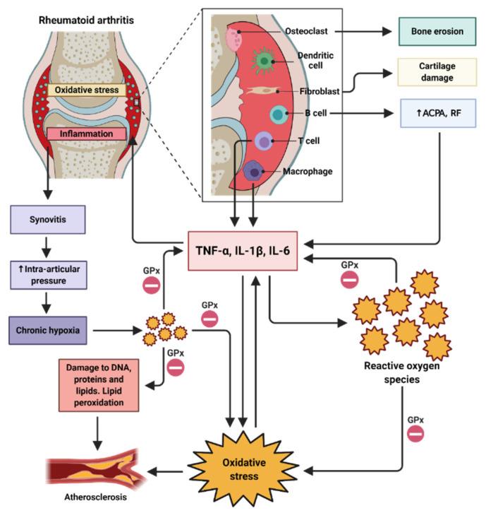 https://cdn.ncbi.nlm.nih.gov/pmc/blobs/8624/7601319/013da69da2c0/nutrients-12-03007-g003.jpg