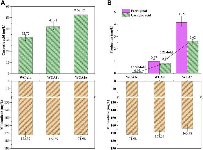 https://cdn.ncbi.nlm.nih.gov/pmc/blobs/8625/9201568/1fc075a04fc6/fbioe-10-916605-g004.jpg