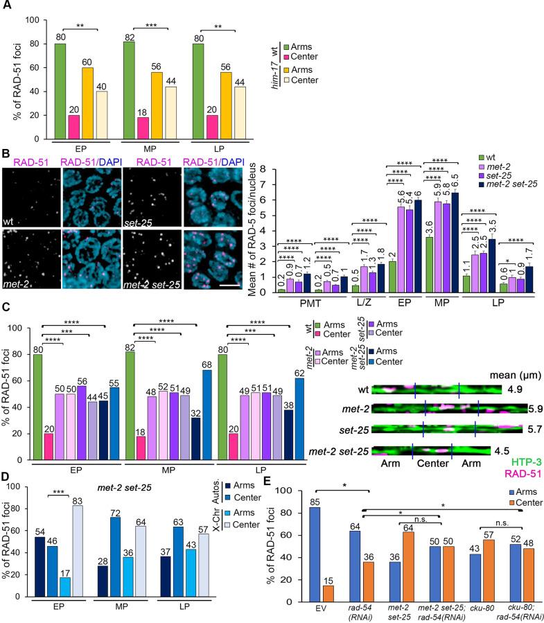 https://cdn.ncbi.nlm.nih.gov/pmc/blobs/8626/9907818/66757917b33e/pgen.1010627.g004.jpg