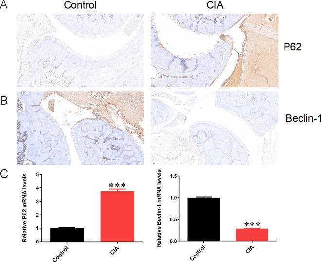 https://cdn.ncbi.nlm.nih.gov/pmc/blobs/8627/12250634/08e2e5093716/pone.0326168.g010.jpg