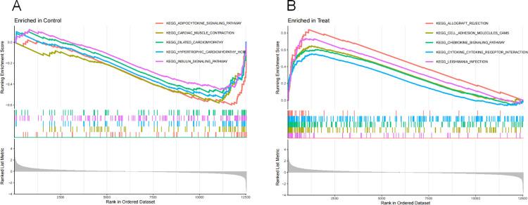 https://cdn.ncbi.nlm.nih.gov/pmc/blobs/8627/12250634/1628795b79b7/pone.0326168.g005.jpg