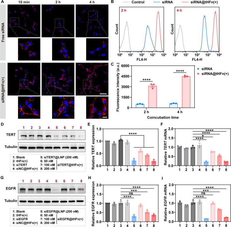 https://cdn.ncbi.nlm.nih.gov/pmc/blobs/8629/11838010/6e7da75fe996/sciadv.adr9266-f5.jpg
