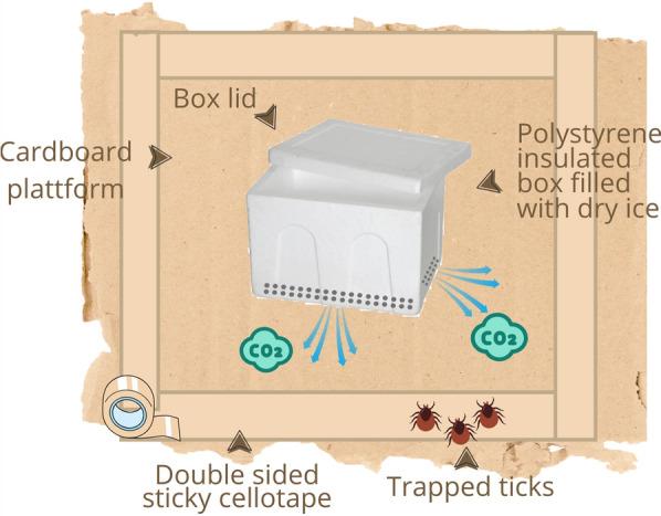 https://cdn.ncbi.nlm.nih.gov/pmc/blobs/8629/12305943/5bedc521bef1/13071_2025_6896_Fig2_HTML.jpg