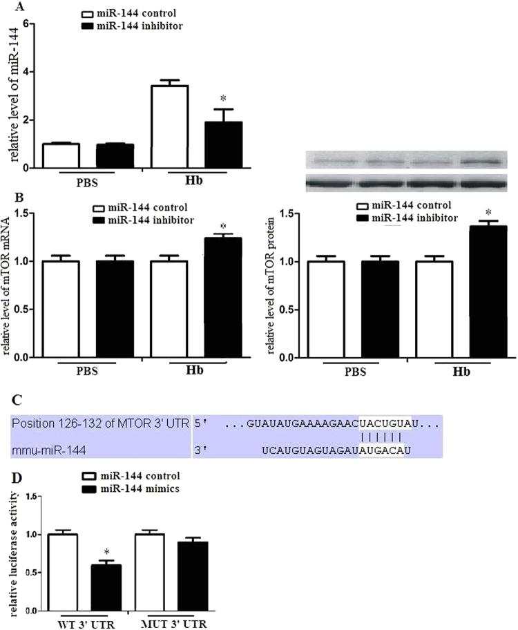 https://cdn.ncbi.nlm.nih.gov/pmc/blobs/862a/5605685/e54d0375fec6/41598_2017_12067_Fig5_HTML.jpg