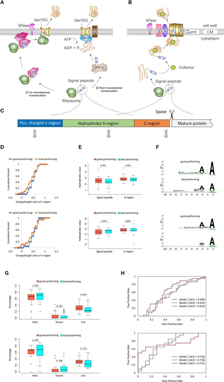 https://cdn.ncbi.nlm.nih.gov/pmc/blobs/862c/6579943/6ae026efe8ea/fbioe-07-00139-g0001.jpg