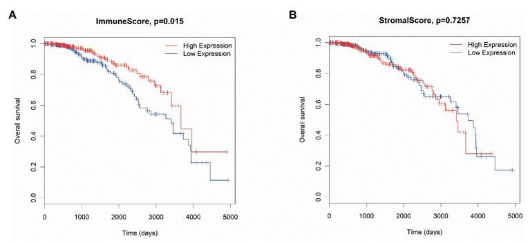 https://cdn.ncbi.nlm.nih.gov/pmc/blobs/862c/7735391/044df4237540/fgene-11-555865-g001.jpg