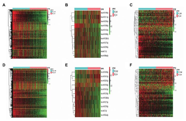 https://cdn.ncbi.nlm.nih.gov/pmc/blobs/862c/7735391/1c5bcee316d1/fgene-11-555865-g002.jpg