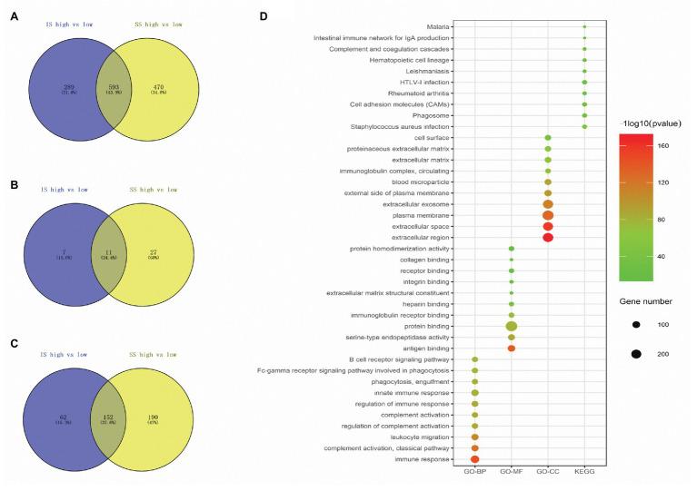 https://cdn.ncbi.nlm.nih.gov/pmc/blobs/862c/7735391/26e310ea14cc/fgene-11-555865-g003.jpg