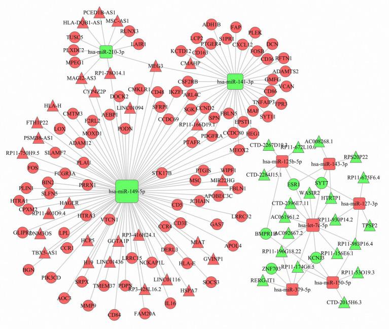 https://cdn.ncbi.nlm.nih.gov/pmc/blobs/862c/7735391/6a53c1541f91/fgene-11-555865-g004.jpg