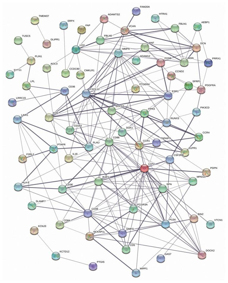 https://cdn.ncbi.nlm.nih.gov/pmc/blobs/862c/7735391/eea956ba75b3/fgene-11-555865-g005.jpg