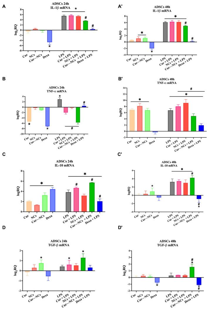 https://cdn.ncbi.nlm.nih.gov/pmc/blobs/862d/11476408/a93a2a927e35/ijms-25-10692-g008.jpg