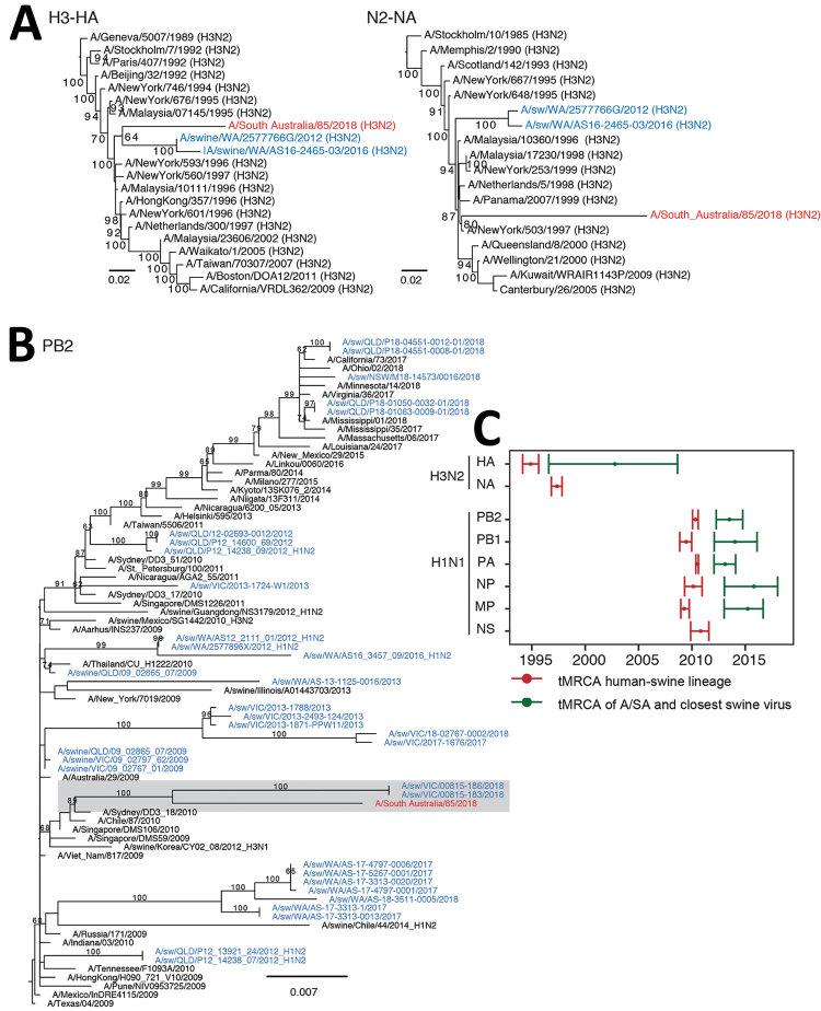 https://cdn.ncbi.nlm.nih.gov/pmc/blobs/862f/6924914/1aacb692e5c8/19-1144-F1.jpg
