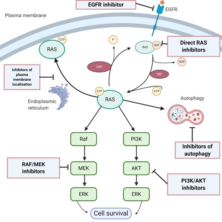 https://cdn.ncbi.nlm.nih.gov/pmc/blobs/862f/9094076/2aef1c4f90a4/cdr-4-543.fig.1.jpg