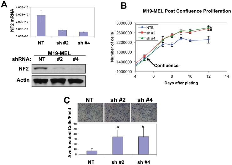 https://cdn.ncbi.nlm.nih.gov/pmc/blobs/8630/3422319/8ebedde1431b/pone.0043295.g002.jpg
