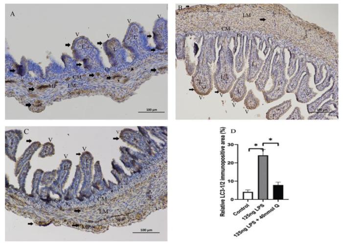 https://cdn.ncbi.nlm.nih.gov/pmc/blobs/8630/9774289/034c289fa77f/animals-12-03524-g011.jpg