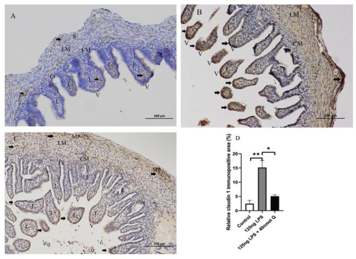 https://cdn.ncbi.nlm.nih.gov/pmc/blobs/8630/9774289/2ceba95214db/animals-12-03524-g017.jpg