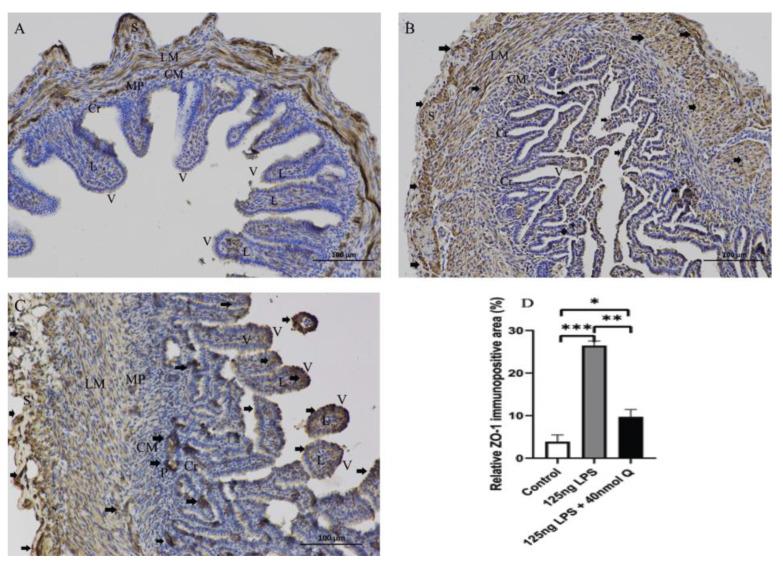 https://cdn.ncbi.nlm.nih.gov/pmc/blobs/8630/9774289/5f4ca0d712a4/animals-12-03524-g018.jpg
