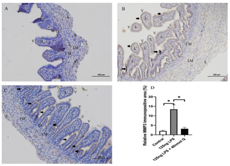 https://cdn.ncbi.nlm.nih.gov/pmc/blobs/8630/9774289/fbd50fcb790a/animals-12-03524-g006.jpg