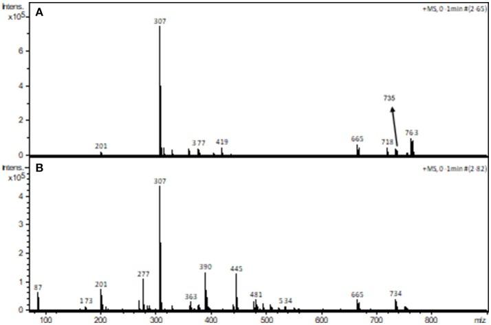https://cdn.ncbi.nlm.nih.gov/pmc/blobs/8632/6231112/2cdd9bbce0b0/fchem-06-00491-g0008.jpg