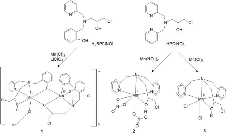 https://cdn.ncbi.nlm.nih.gov/pmc/blobs/8632/6231112/809755a15784/fchem-06-00491-g0001.jpg
